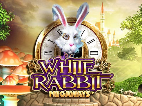 White Rabbit